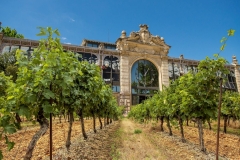 fete vin rose halles narbonne montage vigne 2016