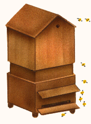 la ruche des halles 2