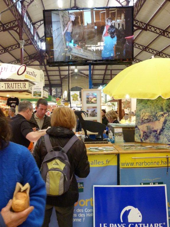 halles_de_narbonne_animation_fromage_chevre_camelot_ecu_pays_cathare_aude_laine_gandolf_haloir_oules-20-04-2013-08_
