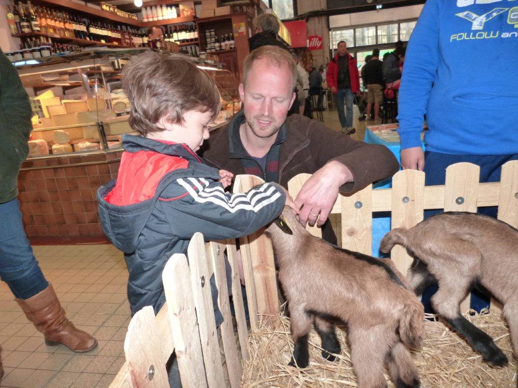 halles_de_narbonne_animation_fromage_chevre_camelot_ecu_pays_cathare_aude_laine_gandolf_haloir_oules-20-04-2013-11_