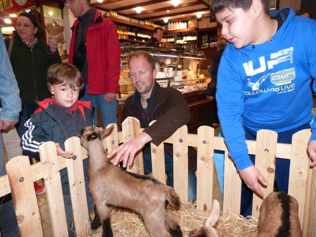 halles_de_narbonne_animation_fromage_chevre_camelot_ecu_pays_cathare_aude_laine_gandolf_haloir_oules-20-04-2013-12_
