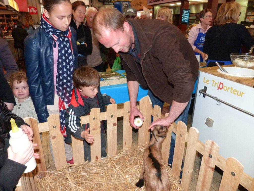 halles_de_narbonne_animation_fromage_chevre_camelot_ecu_pays_cathare_aude_laine_gandolf_haloir_oules-20-04-2013-19_