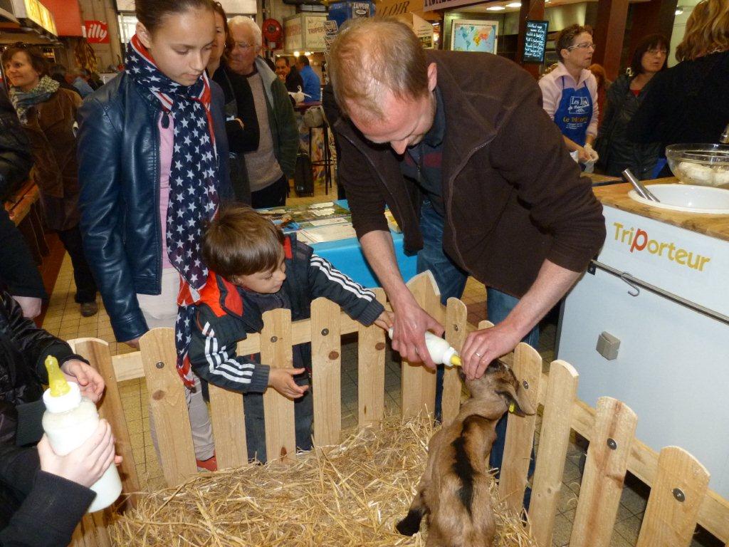 halles_de_narbonne_animation_fromage_chevre_camelot_ecu_pays_cathare_aude_laine_gandolf_haloir_oules-20-04-2013-20_