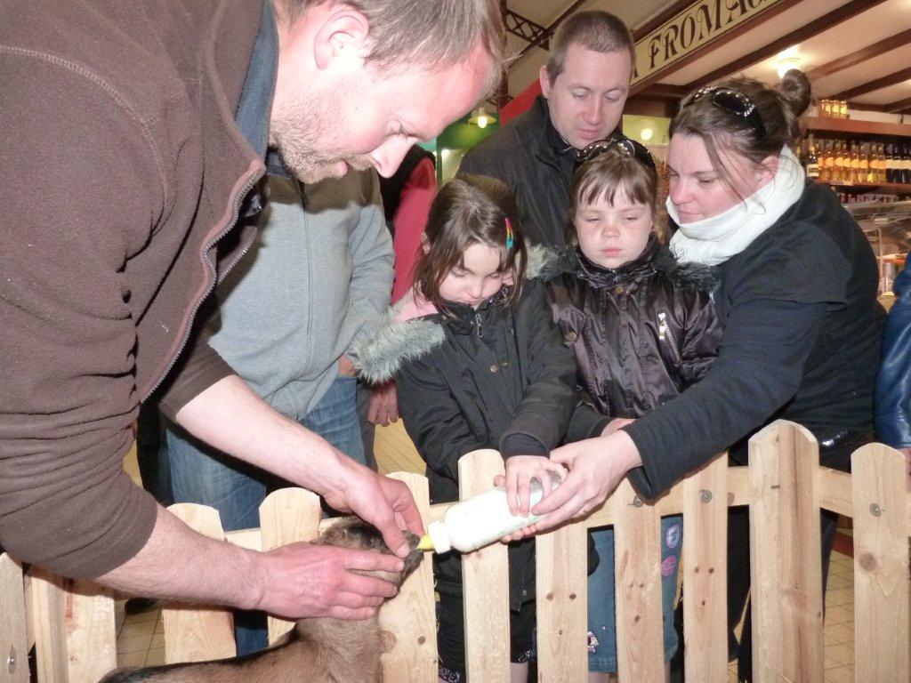halles_de_narbonne_animation_fromage_chevre_camelot_ecu_pays_cathare_aude_laine_gandolf_haloir_oules-20-04-2013-24_