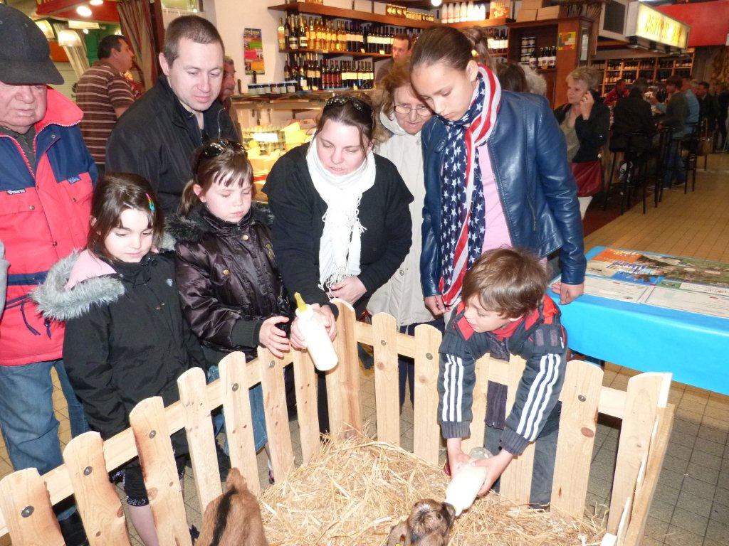halles_de_narbonne_animation_fromage_chevre_camelot_ecu_pays_cathare_aude_laine_gandolf_haloir_oules-20-04-2013-26_