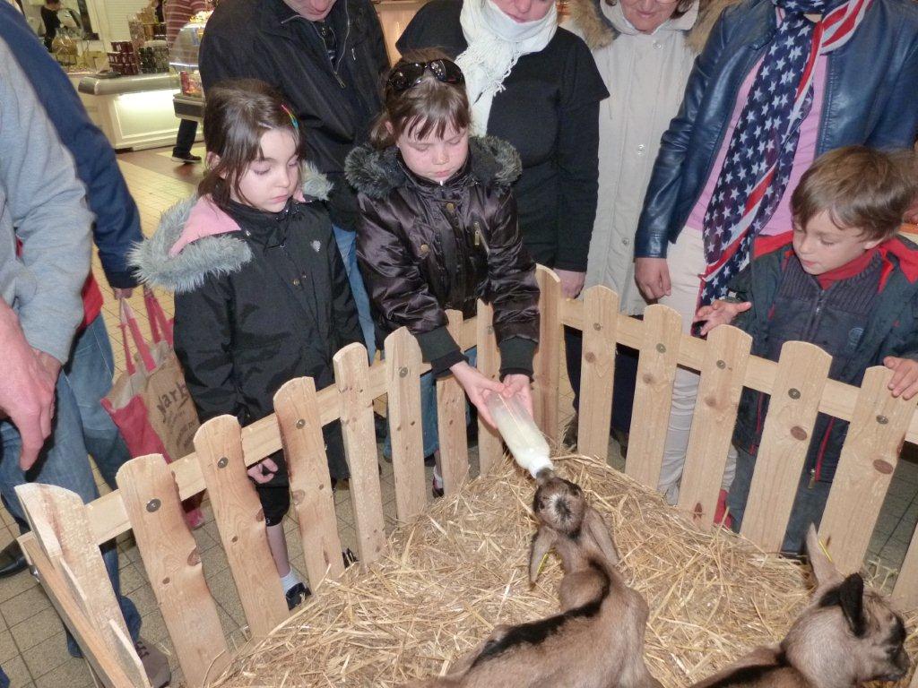 halles_de_narbonne_animation_fromage_chevre_camelot_ecu_pays_cathare_aude_laine_gandolf_haloir_oules-20-04-2013-27_