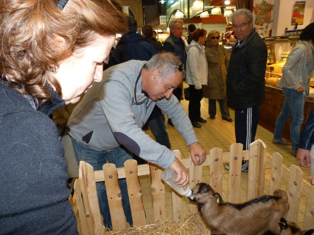 halles_de_narbonne_animation_fromage_chevre_camelot_ecu_pays_cathare_aude_laine_gandolf_haloir_oules-20-04-2013-29_
