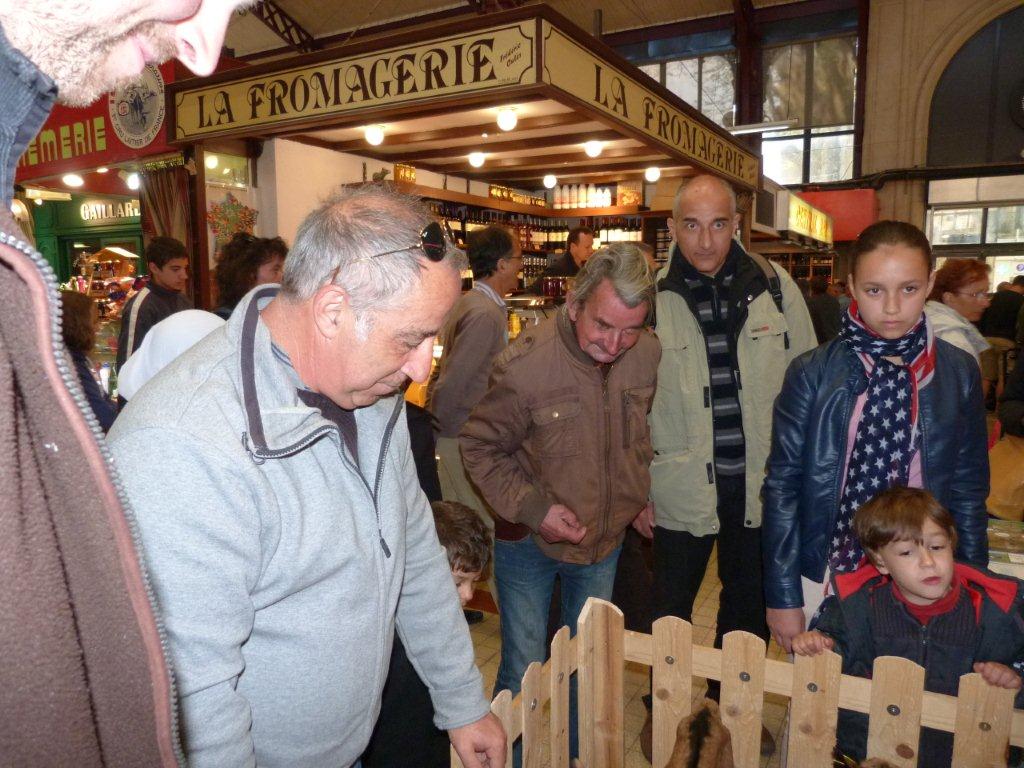 halles_de_narbonne_animation_fromage_chevre_camelot_ecu_pays_cathare_aude_laine_gandolf_haloir_oules-20-04-2013-30_
