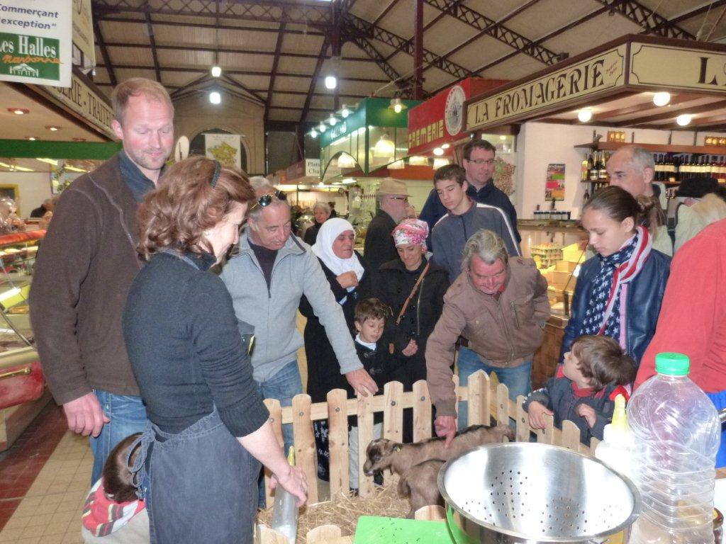 halles_de_narbonne_animation_fromage_chevre_camelot_ecu_pays_cathare_aude_laine_gandolf_haloir_oules-20-04-2013-31_