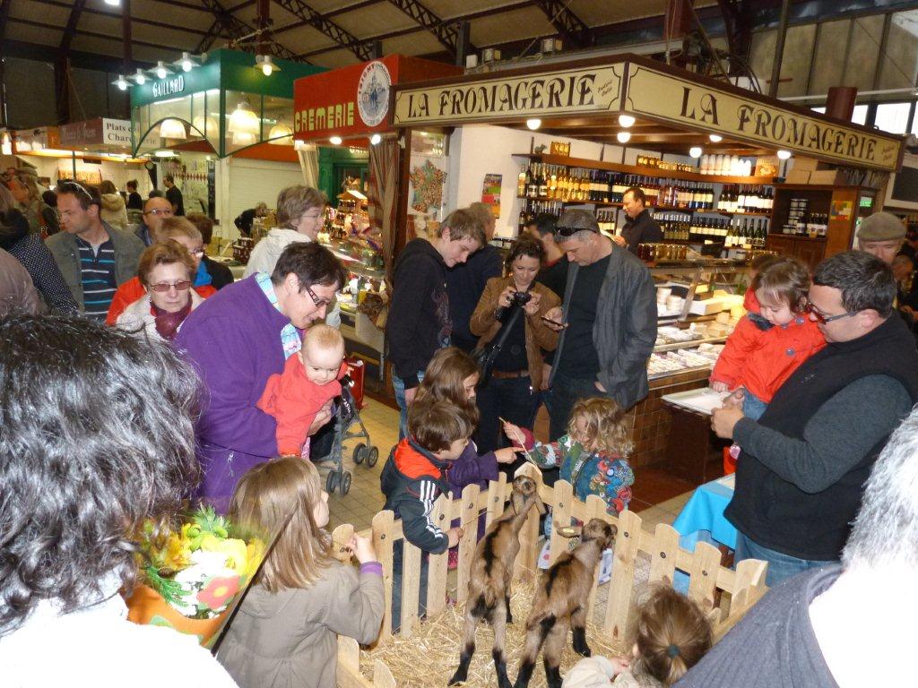halles_de_narbonne_animation_fromage_chevre_camelot_ecu_pays_cathare_aude_laine_gandolf_haloir_oules-20-04-2013-40_