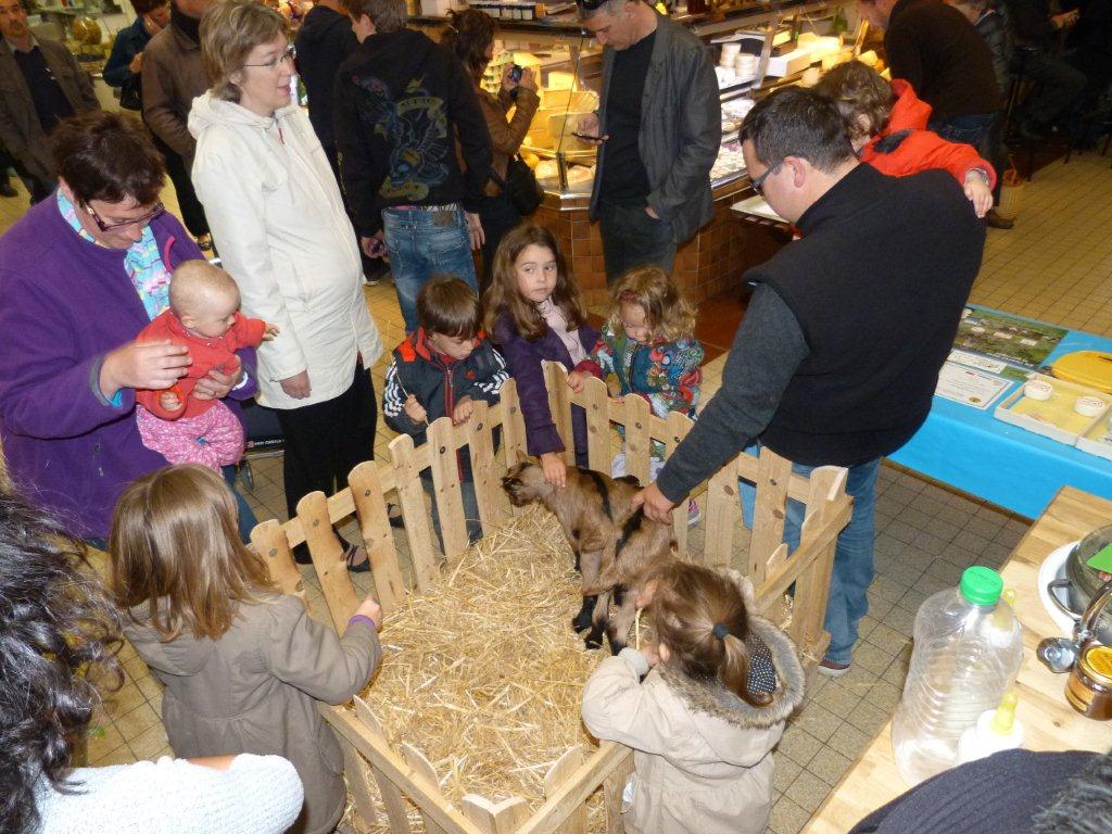 halles_de_narbonne_animation_fromage_chevre_camelot_ecu_pays_cathare_aude_laine_gandolf_haloir_oules-20-04-2013-42_