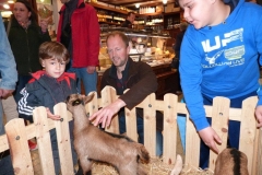 halles_de_narbonne_animation_fromage_chevre_camelot_ecu_pays_cathare_aude_laine_gandolf_haloir_oules-20-04-2013-12_