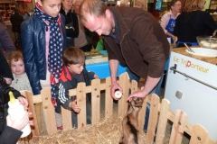 halles_de_narbonne_animation_fromage_chevre_camelot_ecu_pays_cathare_aude_laine_gandolf_haloir_oules-20-04-2013-19_