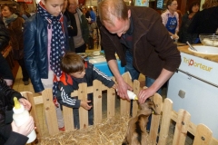 halles_de_narbonne_animation_fromage_chevre_camelot_ecu_pays_cathare_aude_laine_gandolf_haloir_oules-20-04-2013-20_