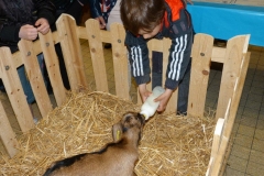 halles_de_narbonne_animation_fromage_chevre_camelot_ecu_pays_cathare_aude_laine_gandolf_haloir_oules-20-04-2013-22_