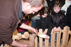 halles_de_narbonne_animation_fromage_chevre_camelot_ecu_pays_cathare_aude_laine_gandolf_haloir_oules-20-04-2013-23_