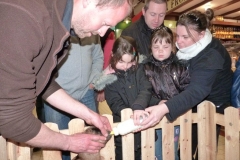 halles_de_narbonne_animation_fromage_chevre_camelot_ecu_pays_cathare_aude_laine_gandolf_haloir_oules-20-04-2013-24_