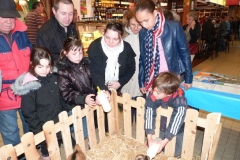 halles_de_narbonne_animation_fromage_chevre_camelot_ecu_pays_cathare_aude_laine_gandolf_haloir_oules-20-04-2013-26_