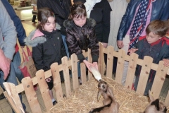 halles_de_narbonne_animation_fromage_chevre_camelot_ecu_pays_cathare_aude_laine_gandolf_haloir_oules-20-04-2013-27_