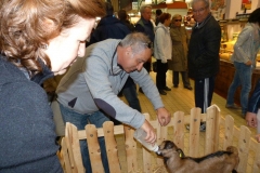 halles_de_narbonne_animation_fromage_chevre_camelot_ecu_pays_cathare_aude_laine_gandolf_haloir_oules-20-04-2013-29_