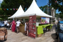 halles_narbonne_fete_vin_rose_2016-14