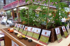 halles_narbonne_fete_fruits_legumes_frais_rougeline_15-06-2016-17