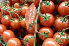 halles_narbonne_fete_fruits_legumes_frais_rougeline_15-06-2016-28