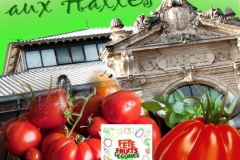 visuel FA16 tomate test 1