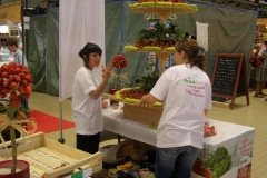 halles-narbonne-festival-fraise-2010-et-babyfoot (11)