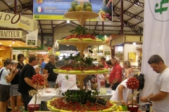 halles-narbonne-festival-fraise-2010-et-babyfoot (17)