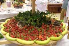 halles-narbonne-festival-fraise-2010-et-babyfoot (32)