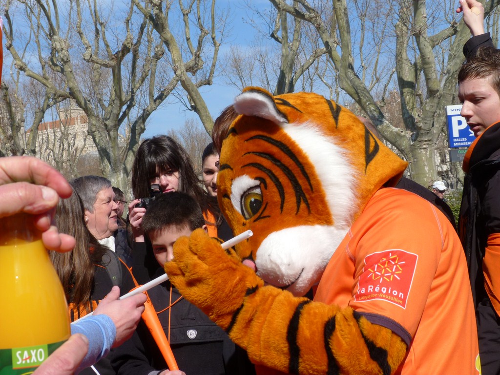 rcnm_beziers__accueil_supporters_vismavie_commercants_halles_narbonne_2012-21