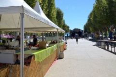 halles_narbonne_festival_barques_en_scene_2016-07