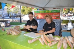 halles_narbonne_festival_barques_en_scene_2016-38