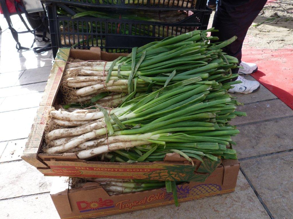 les_halles_de_narbonne_calçotade_calçotada_derby_rcnm_usap_cercle_occitan-07