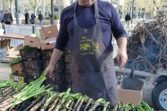 les_halles_de_narbonne_calçotade_calçotada_derby_rcnm_usap_cercle_occitan-02