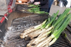 les_halles_de_narbonne_calçotade_calçotada_derby_rcnm_usap_cercle_occitan-09