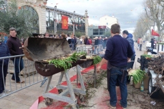 les_halles_de_narbonne_calçotade_calçotada_derby_rcnm_usap_cercle_occitan-15