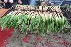 les_halles_de_narbonne_calçotade_calçotada_derby_rcnm_usap_cercle_occitan-17