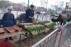 les_halles_de_narbonne_calçotade_calçotada_derby_rcnm_usap_cercle_occitan-18