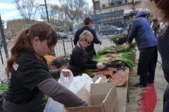 les_halles_de_narbonne_calçotade_calçotada_derby_rcnm_usap_cercle_occitan-22