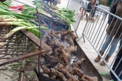 les_halles_de_narbonne_calçotade_calçotada_derby_rcnm_usap_cercle_occitan-26