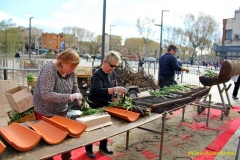 les_halles_de_narbonne_calçotade_calçotada_derby_rcnm_usap_cercle_occitan-62