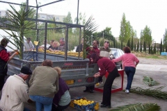 Halles_Narbonne_2004_-_Carnaval_(1)