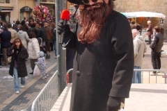 Halles_de_Narbonne_-Carnaval_2007_(2)