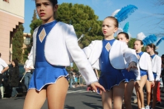 carnaval-animation-halles-narbonne-2011-06