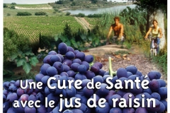 Halles_Narbonne_-_Cure_jus_de_raisin_&_Confreries_2008_(20)