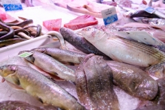 Halles_narbonne_poisson