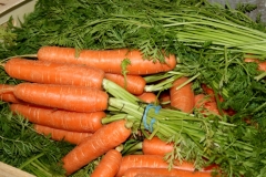 Produits_halles_narbonne_carottes