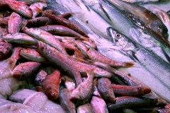 Produits_halles_narbonne_poisson